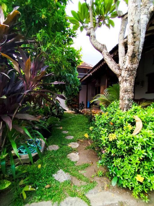 Niki Mawon Homestay Kejayan エクステリア 写真